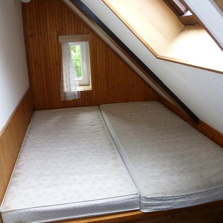Penzion Pod Studenovem Рокицани Экстерьер фото