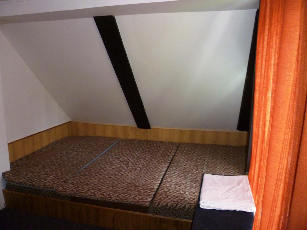 Penzion Pod Studenovem Рокицани Экстерьер фото